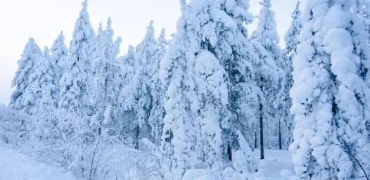 Balade hivernale au Québec