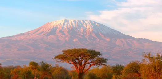 A la rencontre des “Big Five”