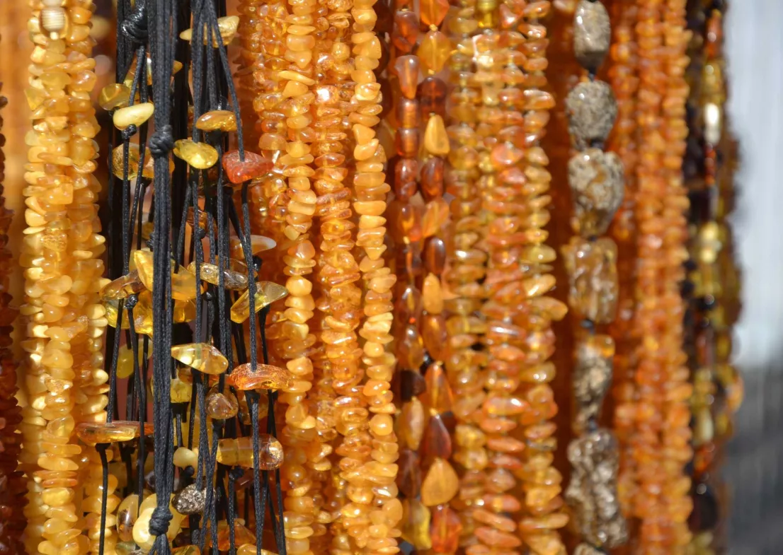 Une pierre presque vivante : l’ambre